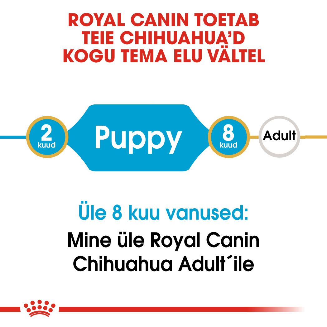 Royal Canin Chihuahua Puppy kuivtoit