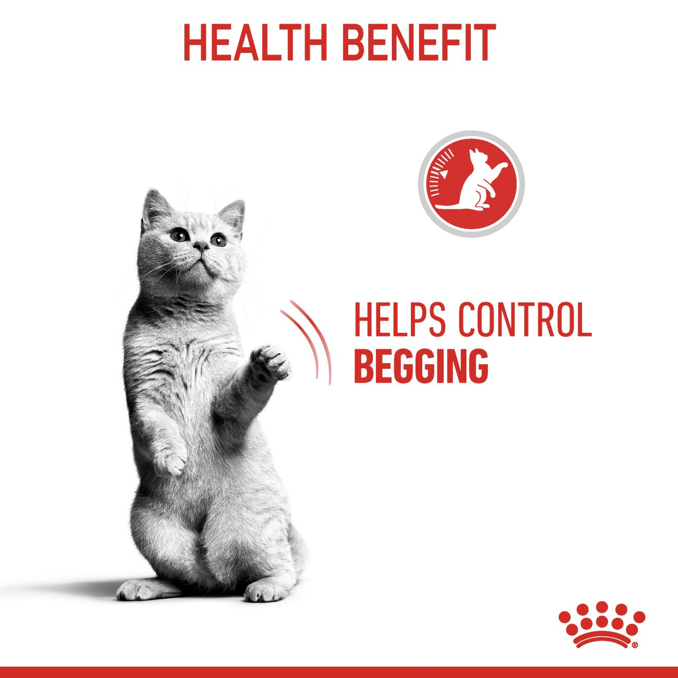 Appetite control deals cat food