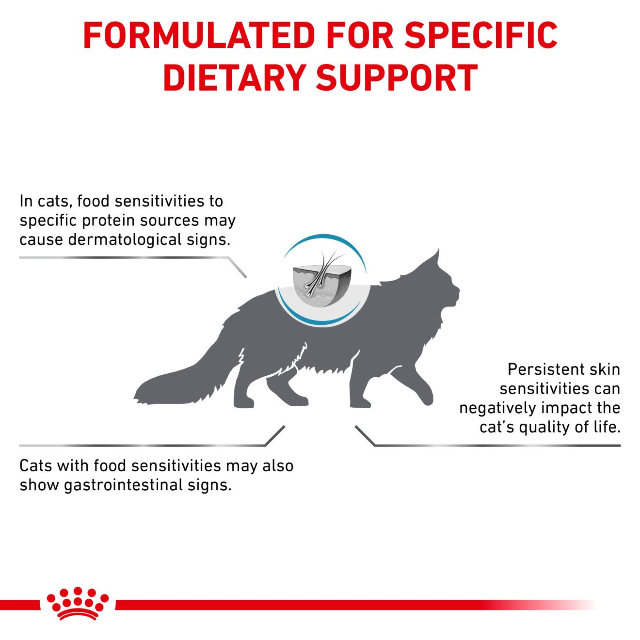 Feline Hydrolyzed Protein Adult HP Dry Cat Food Royal Canin US