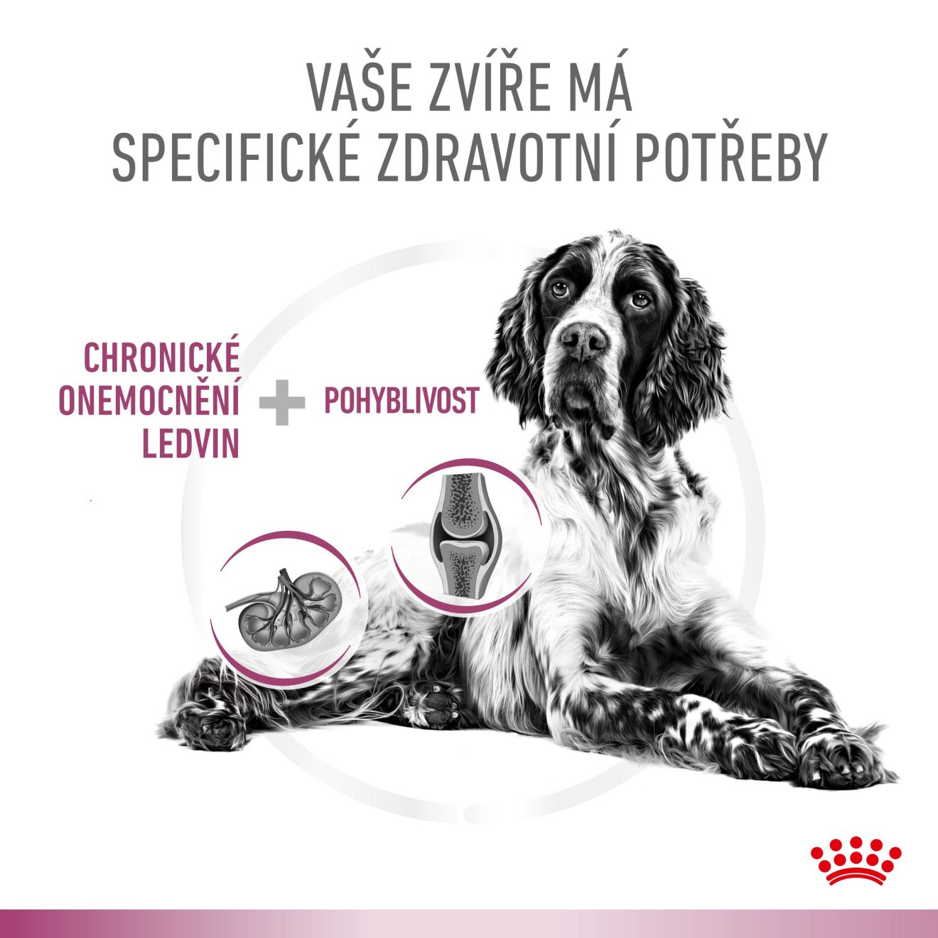 VHN Dog CA Renal - Mobility Loaf Konzerva