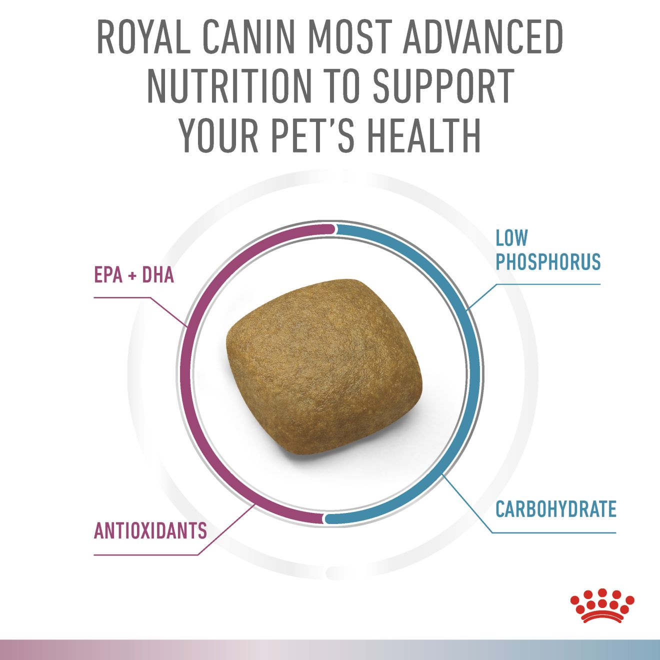 Renal + Hypoallergenic