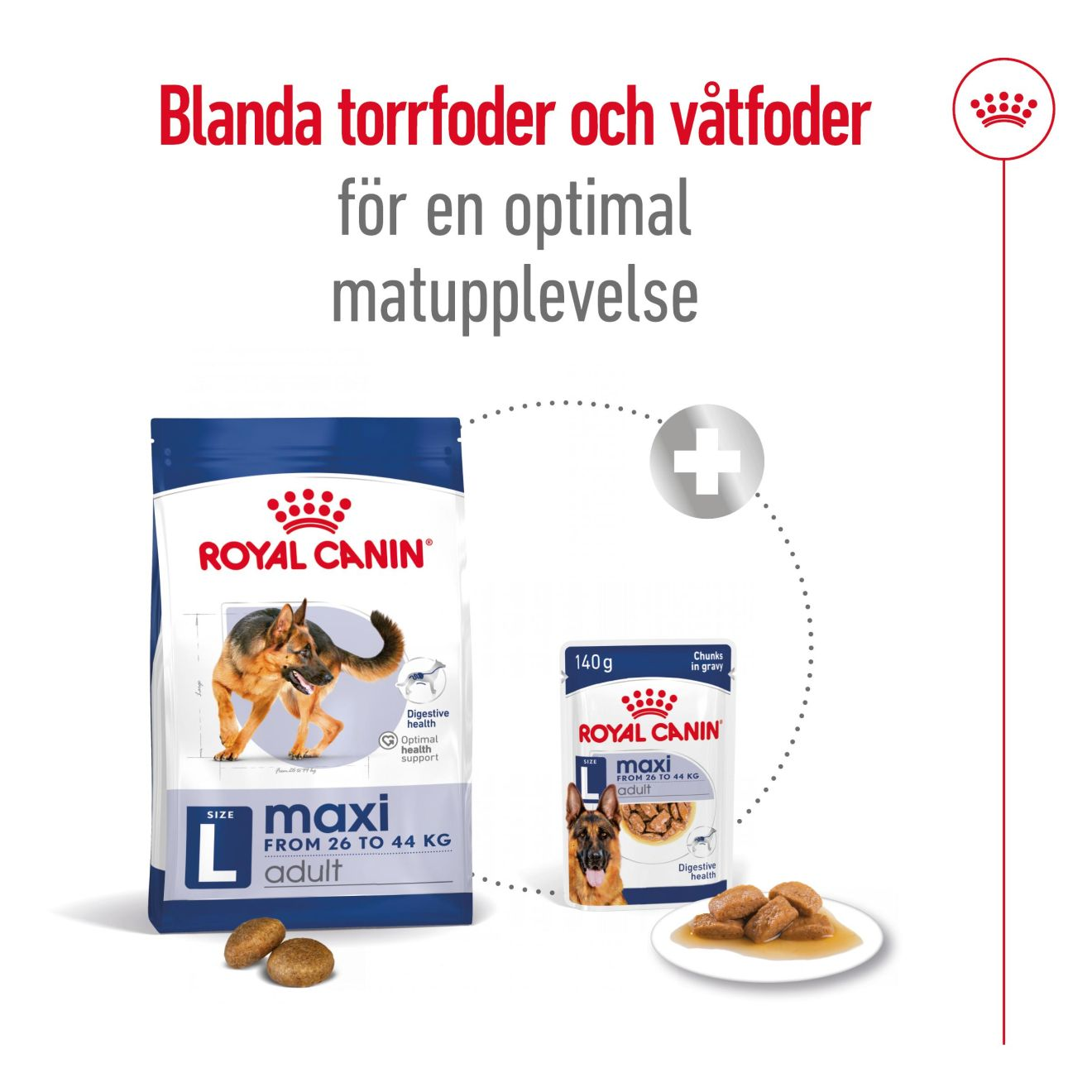Maxi Adult