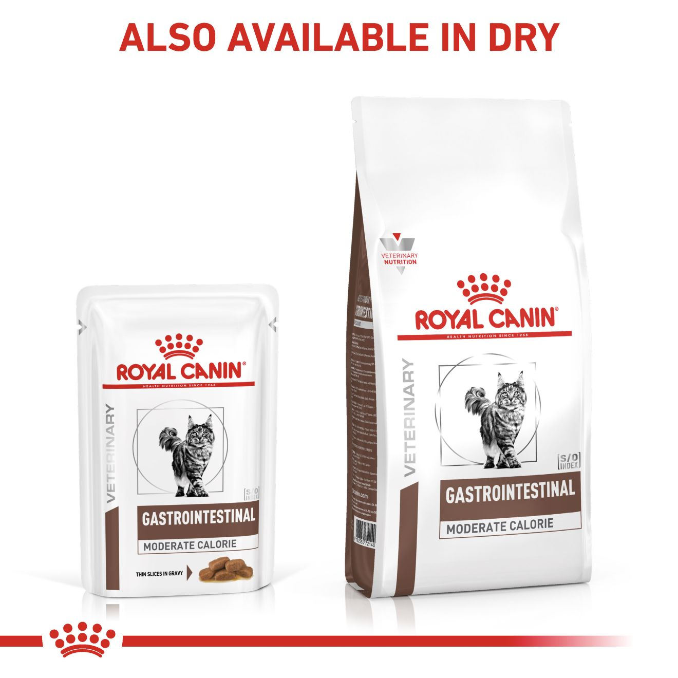 Gastrointestinal Moderate Calorie Thin Slices In Gravy