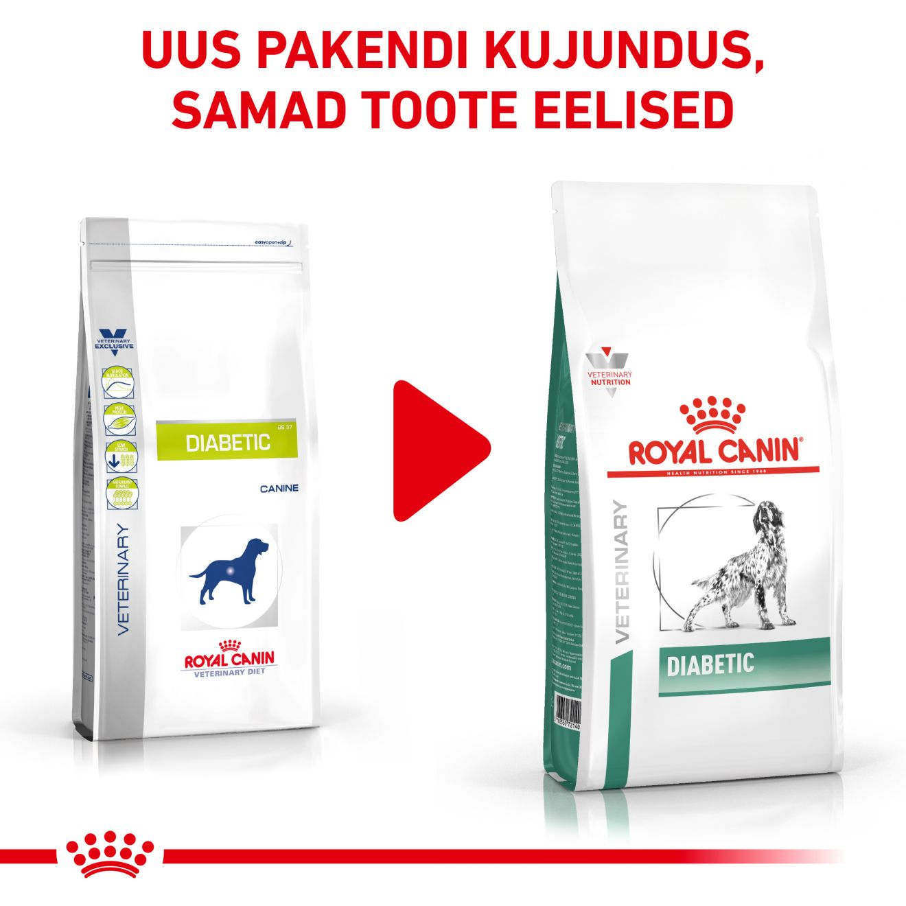 Royal Canin Diabetic Dog kuivtoit