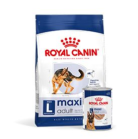  Royal Canin Large Adult Dry Dog Food Packshot