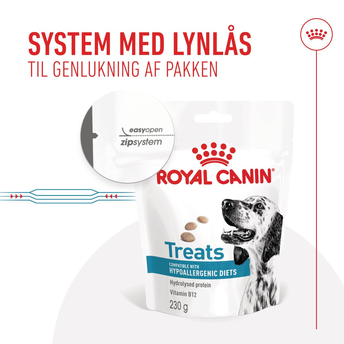 Hypoallergenic Treats
