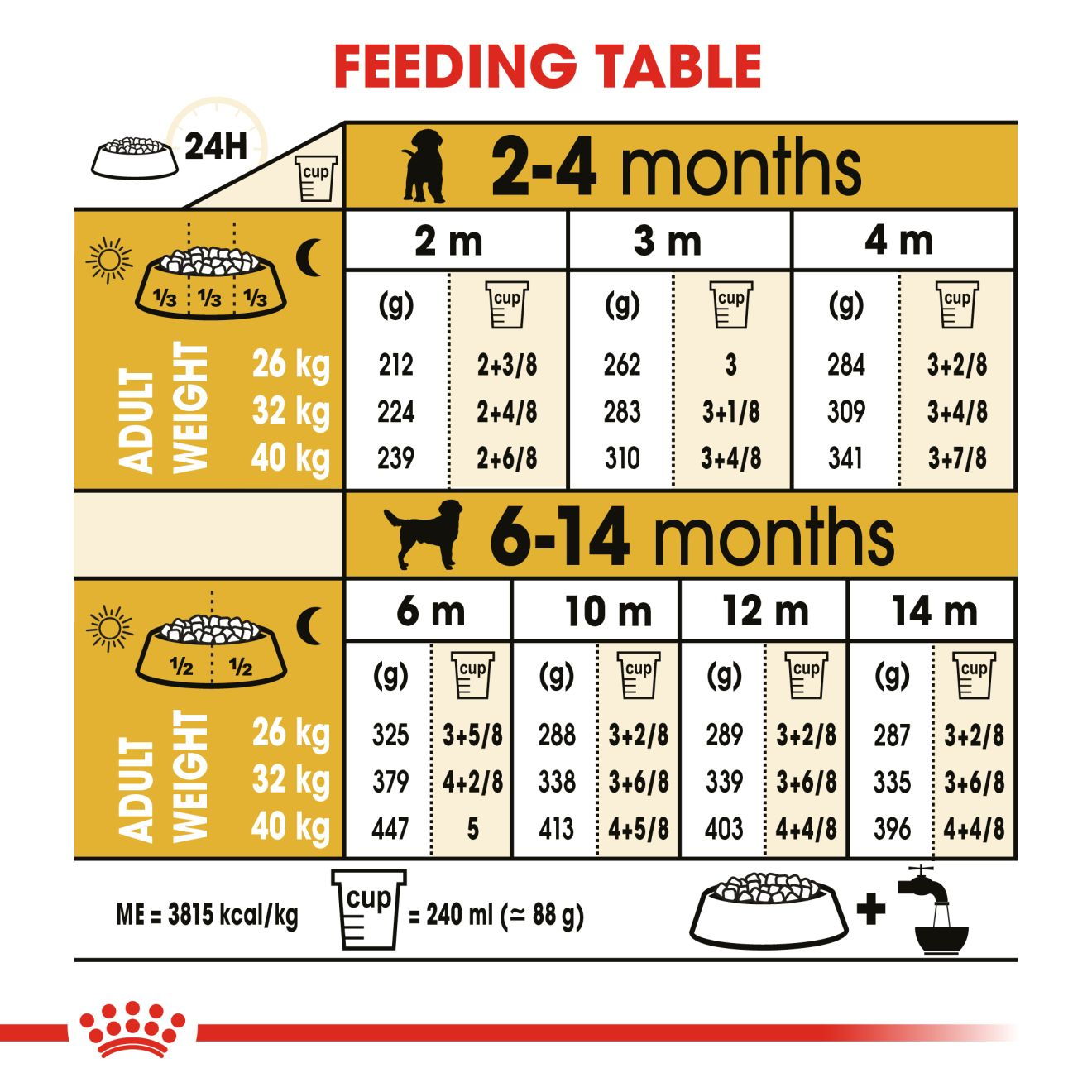 Lab 2024 puppy diet