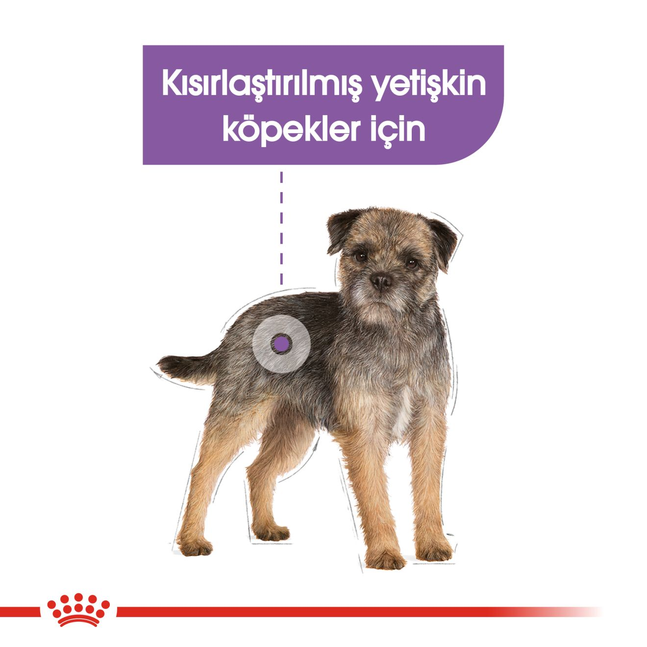 Sterilised Loaf Yetişkin Köpek Yaş Maması