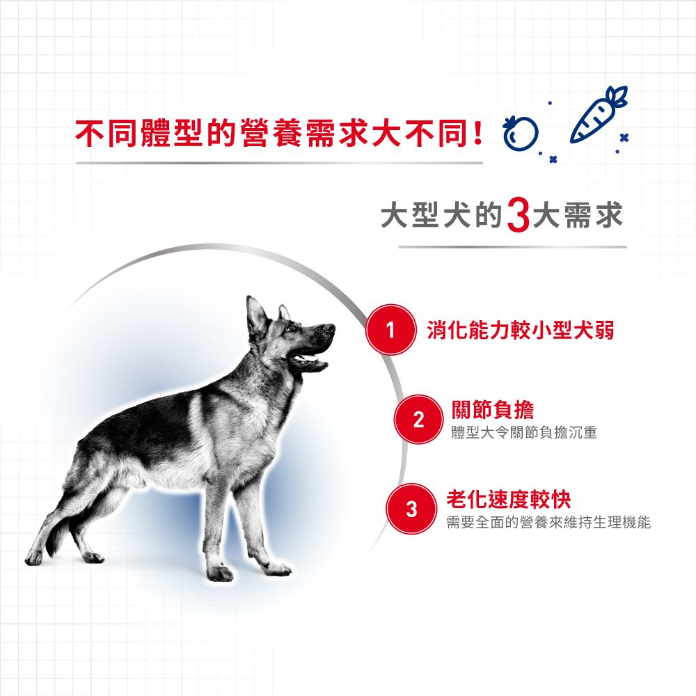 SHN 大型成犬營養配方