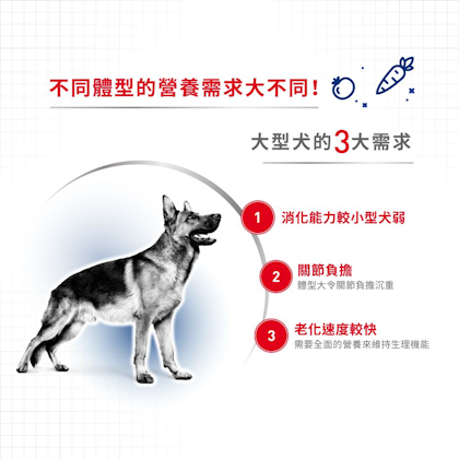 A+_大型成犬營養配方_正方形_HK_02