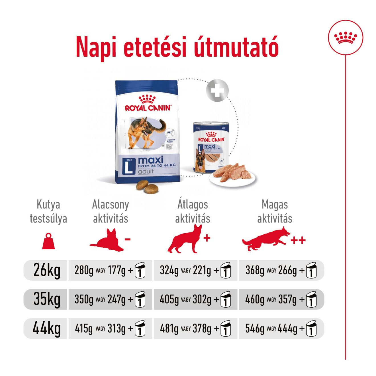 Maxi Adult