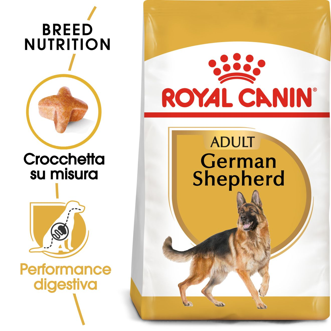  GERMAN SHEPHERD Adult