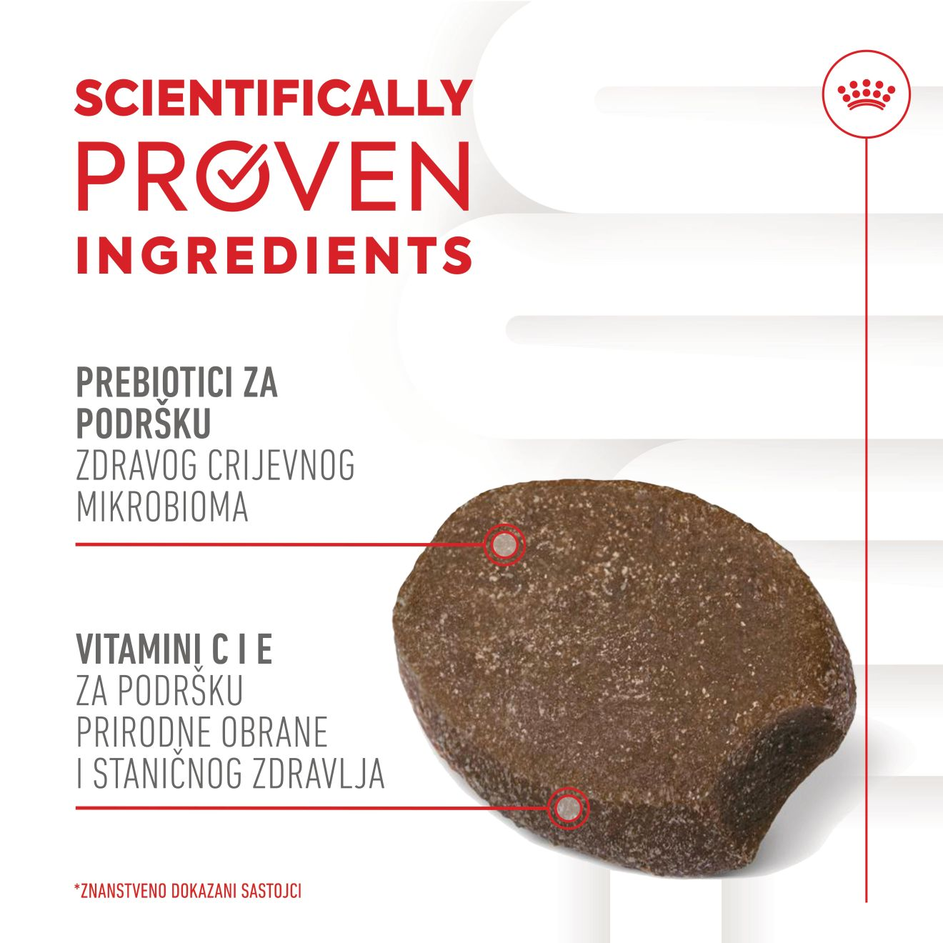 IMMUNITY & DIGESTION CHEWS