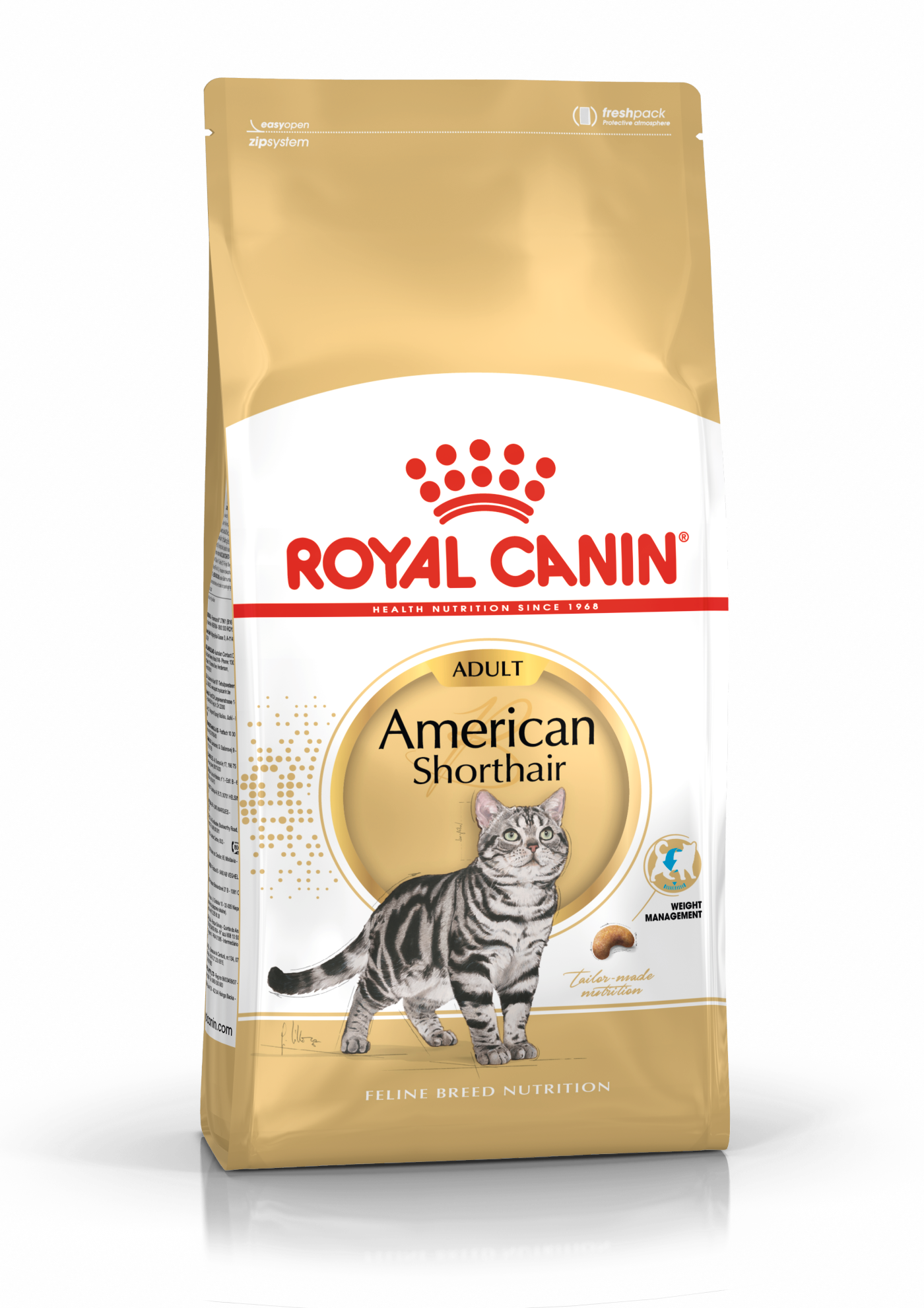 American shorthair en packshot fbn2016