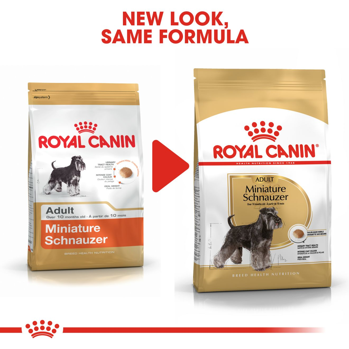 royal canin mini schnauzer food
