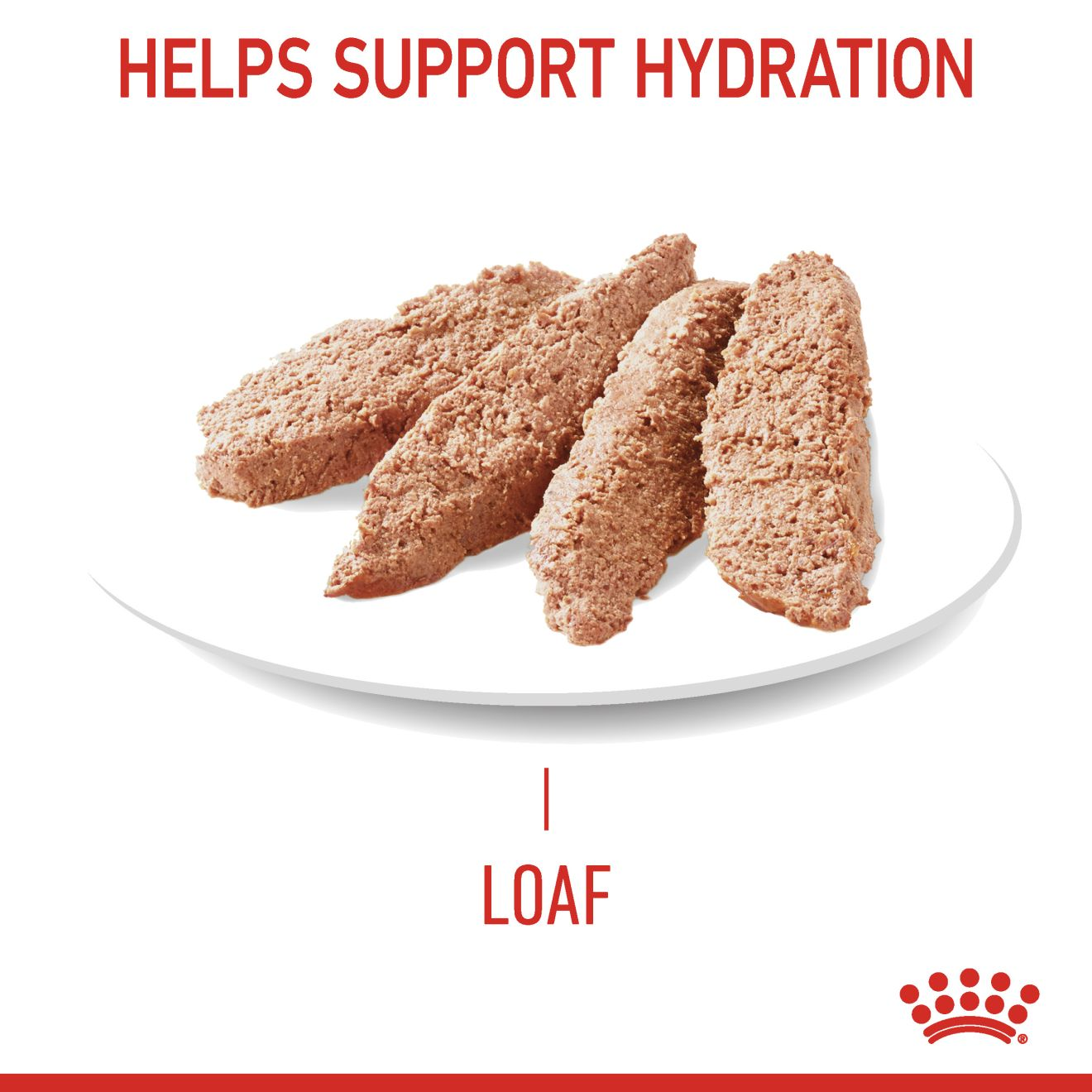 digestive-care-loaf-royal-canin-au