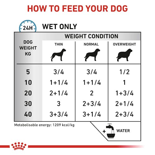 Sensitivity Control Chicken with Rice Loaf