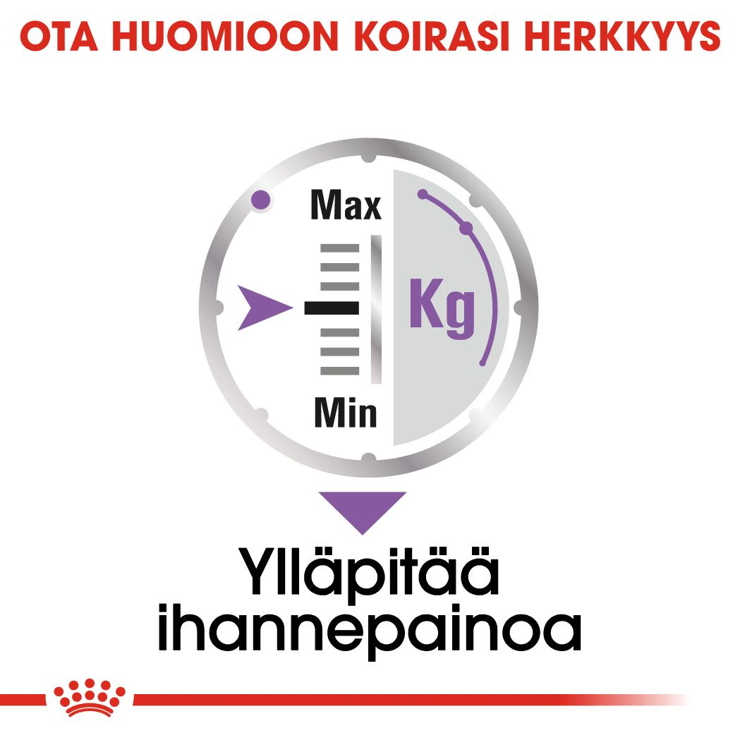 Sterilised Adult Loaf