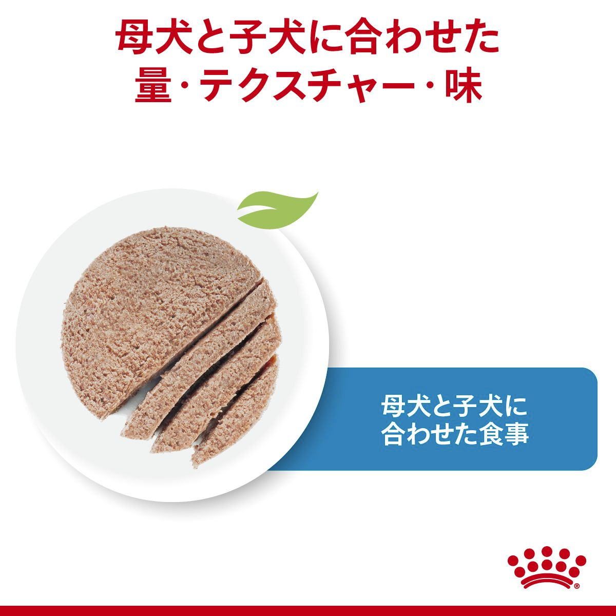 スターター ムース マザー＆ベビードッグ 子犬＆母犬用