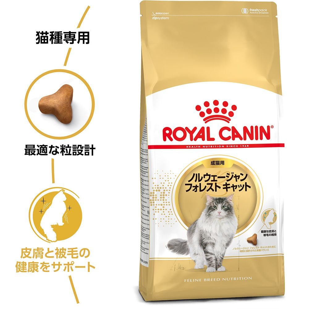 ノルウェージャン フォレスト キャット 成猫用