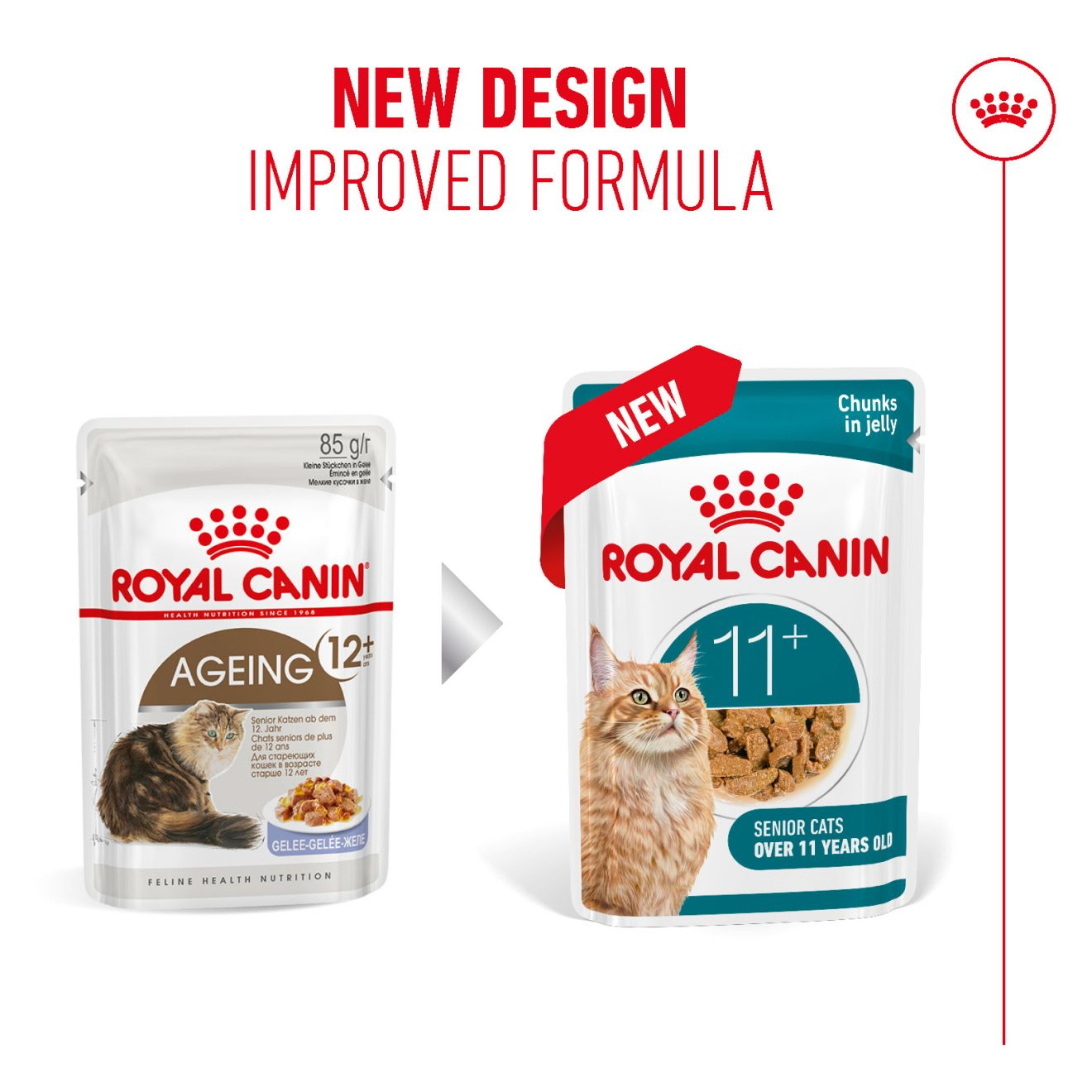 AGEING 11+ Chunks in jelly Royal Canin UK