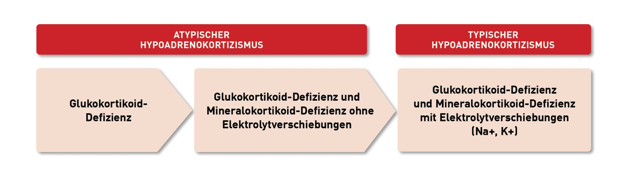 Klassifikation des spontanen Hypoadrenokortizismus beim Hund