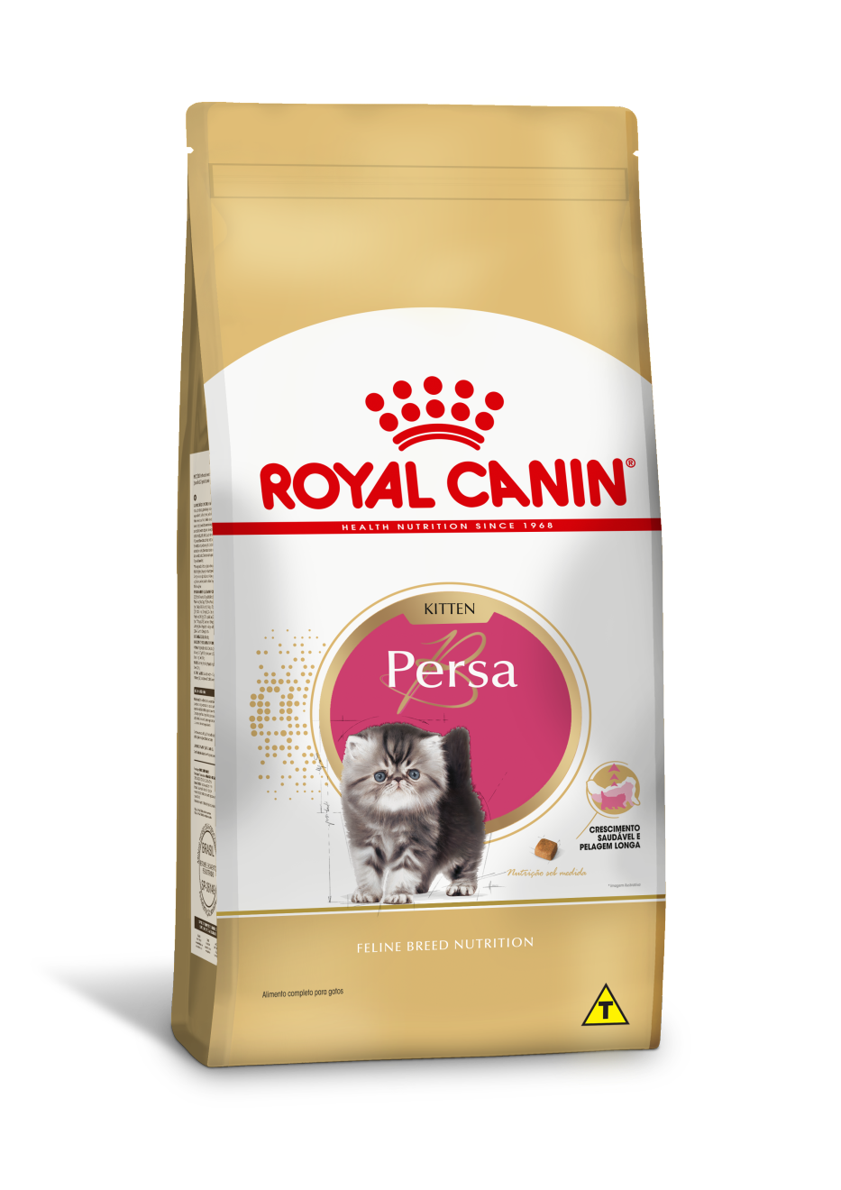 Persa Kitten/Filhote