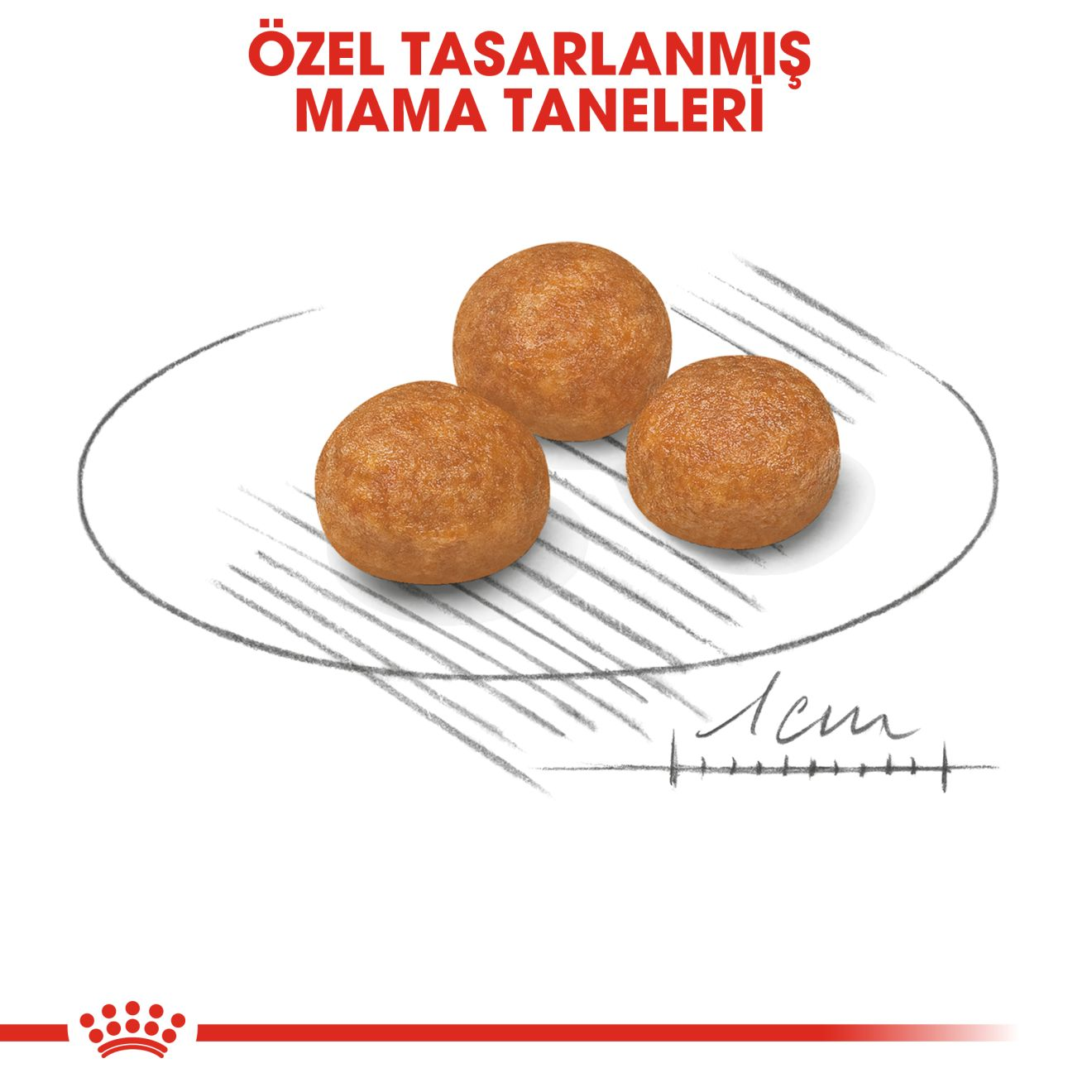 X-Small Adult Yetişkin Köpek Kuru Maması