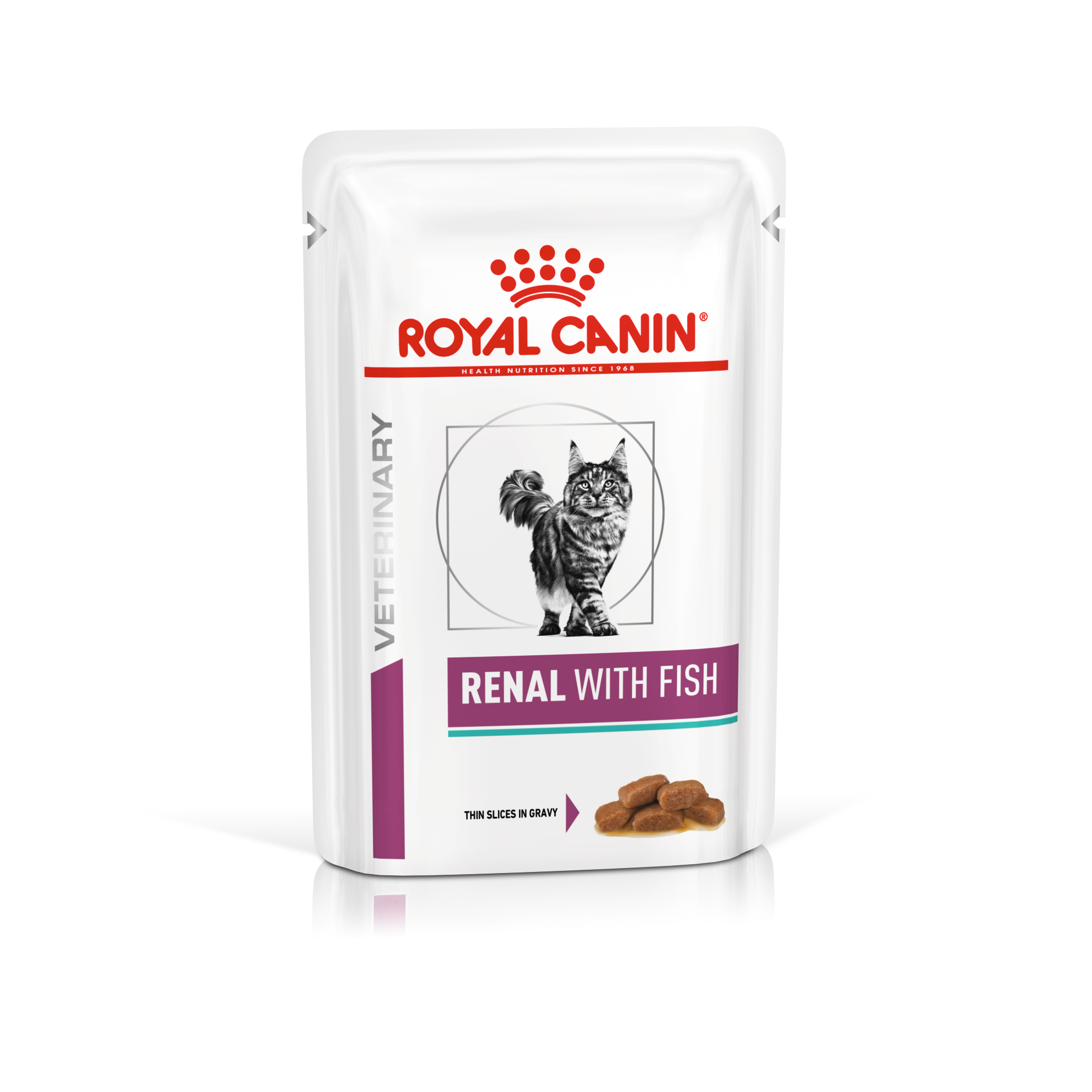 royal canin dog food fish