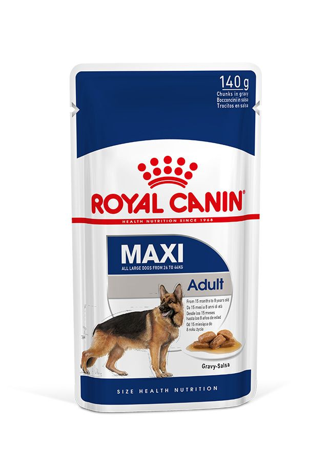 Maxi Adult Gravy