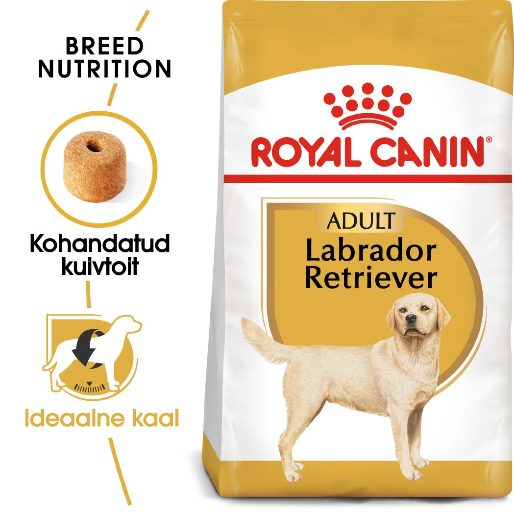 Royal Canin Labrador Retriever Adult kuivtoit
