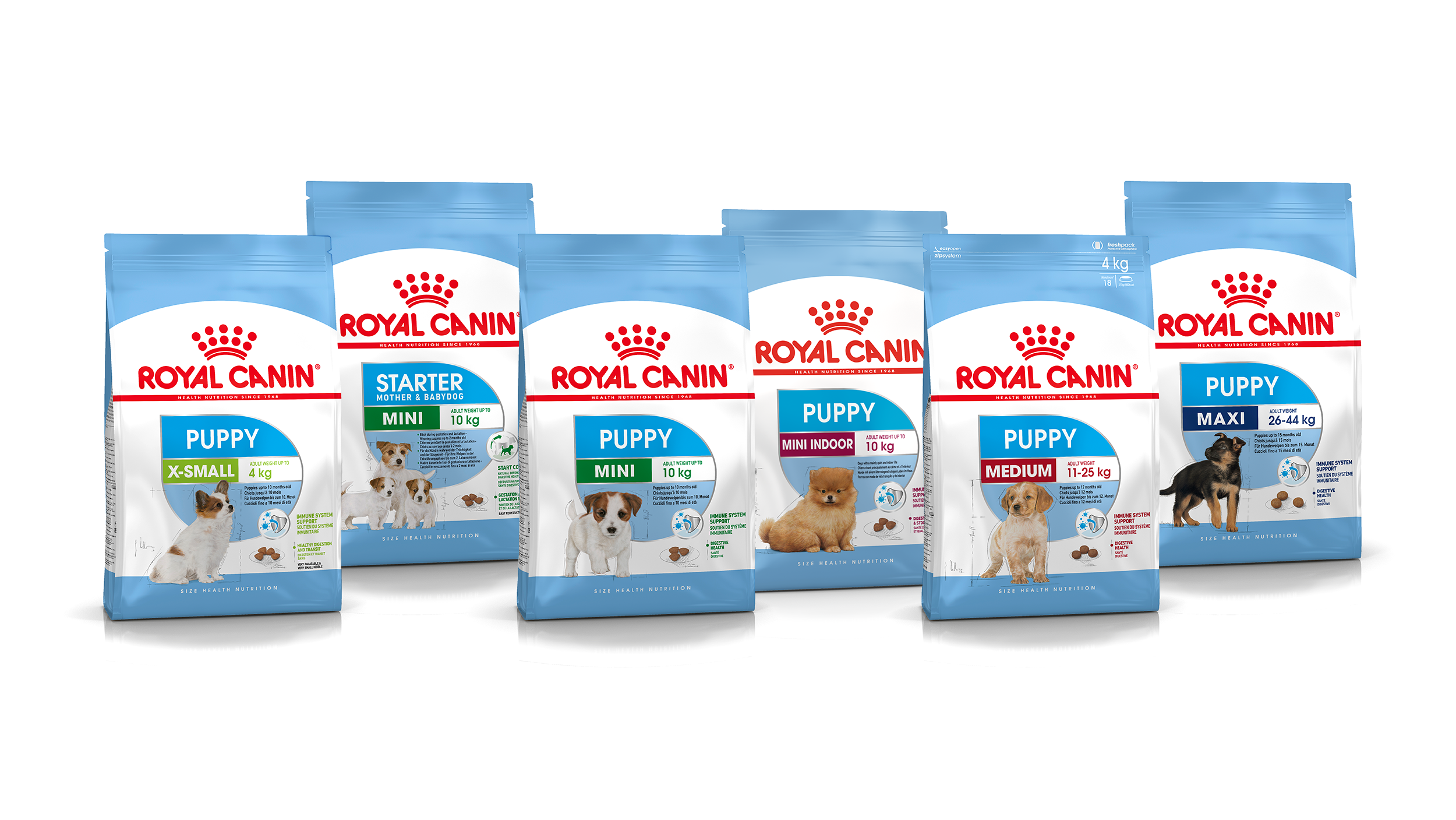 Royal Canin Maxi Puppy Feeding Guide Puppy, Food Need Help ...