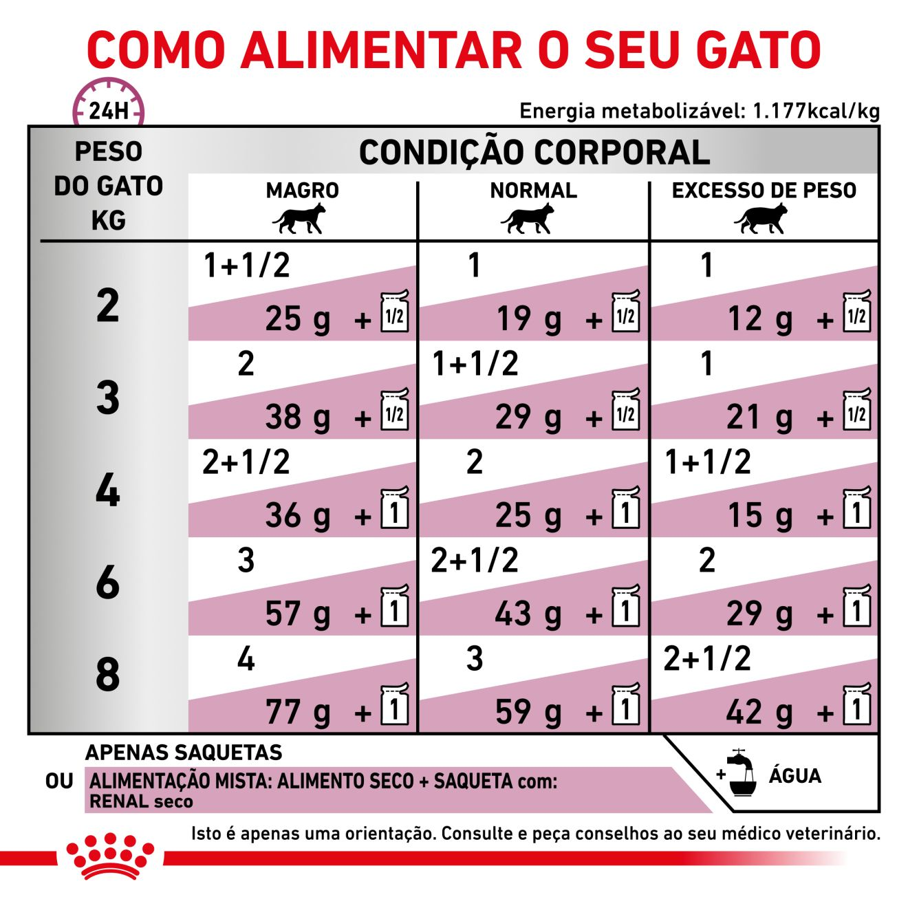 Renal with Chicken fatias finas com molho