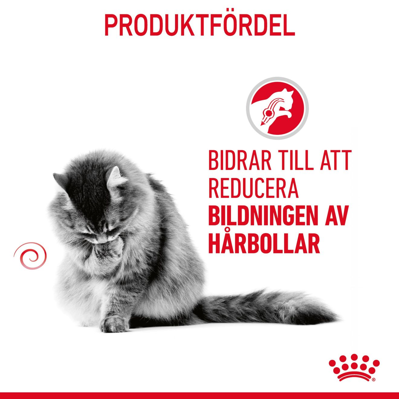 Hairball Care Adult 