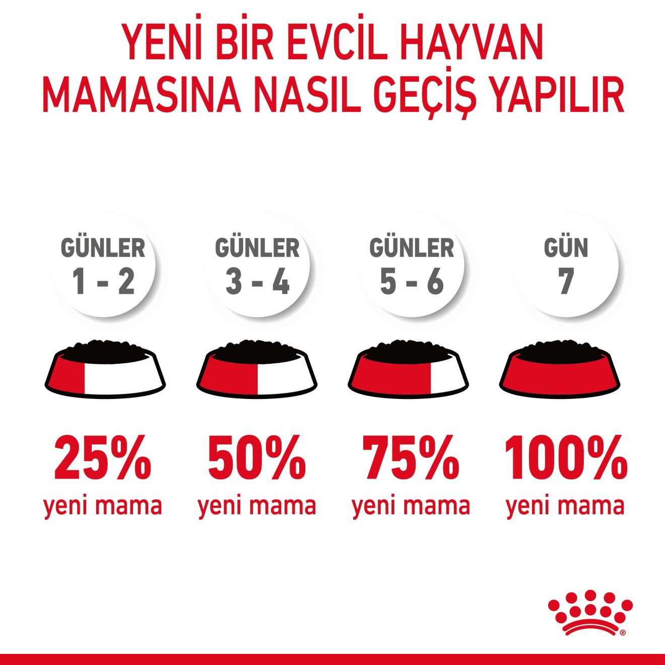 Digestive Care Yetişkin Kedi Yaş Maması