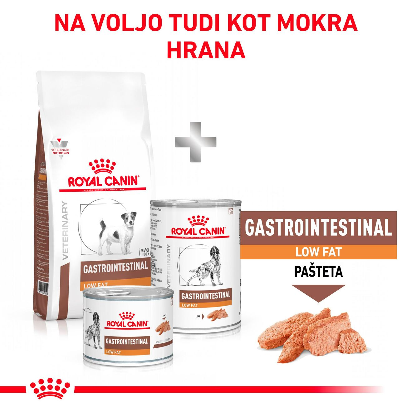 GASTROINTESTINAL LOW FAT SMALL DOG
