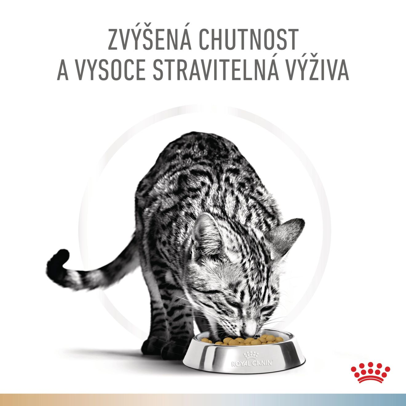 VHN Cat CA Urinary S/O-Hypoallergenic