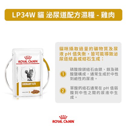 0620_LP34W方_1