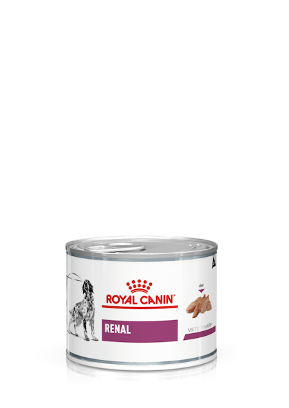 Royal canin renal support wet hot sale dog food