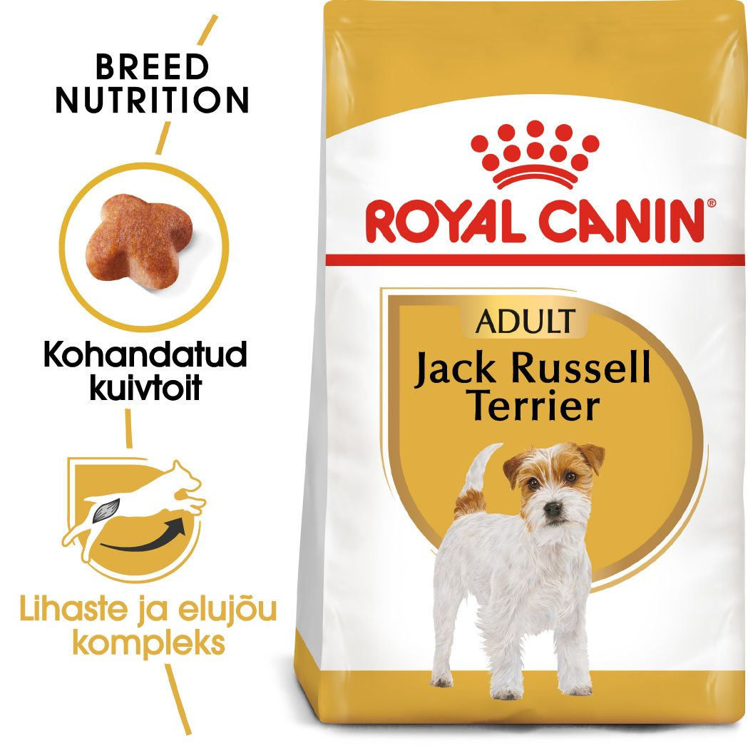 Royal Canin Jack Russell Terrier Adult kuivtoit