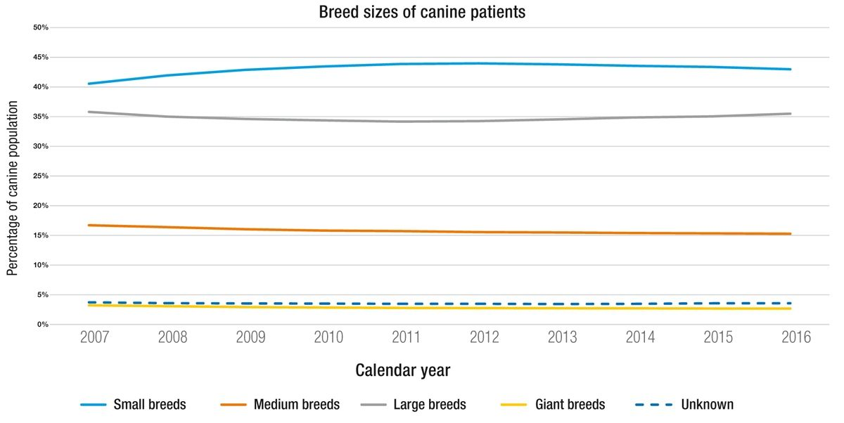 Size trends in the dogs seen at Banfield Pet Hospitals over the last 10 years. 