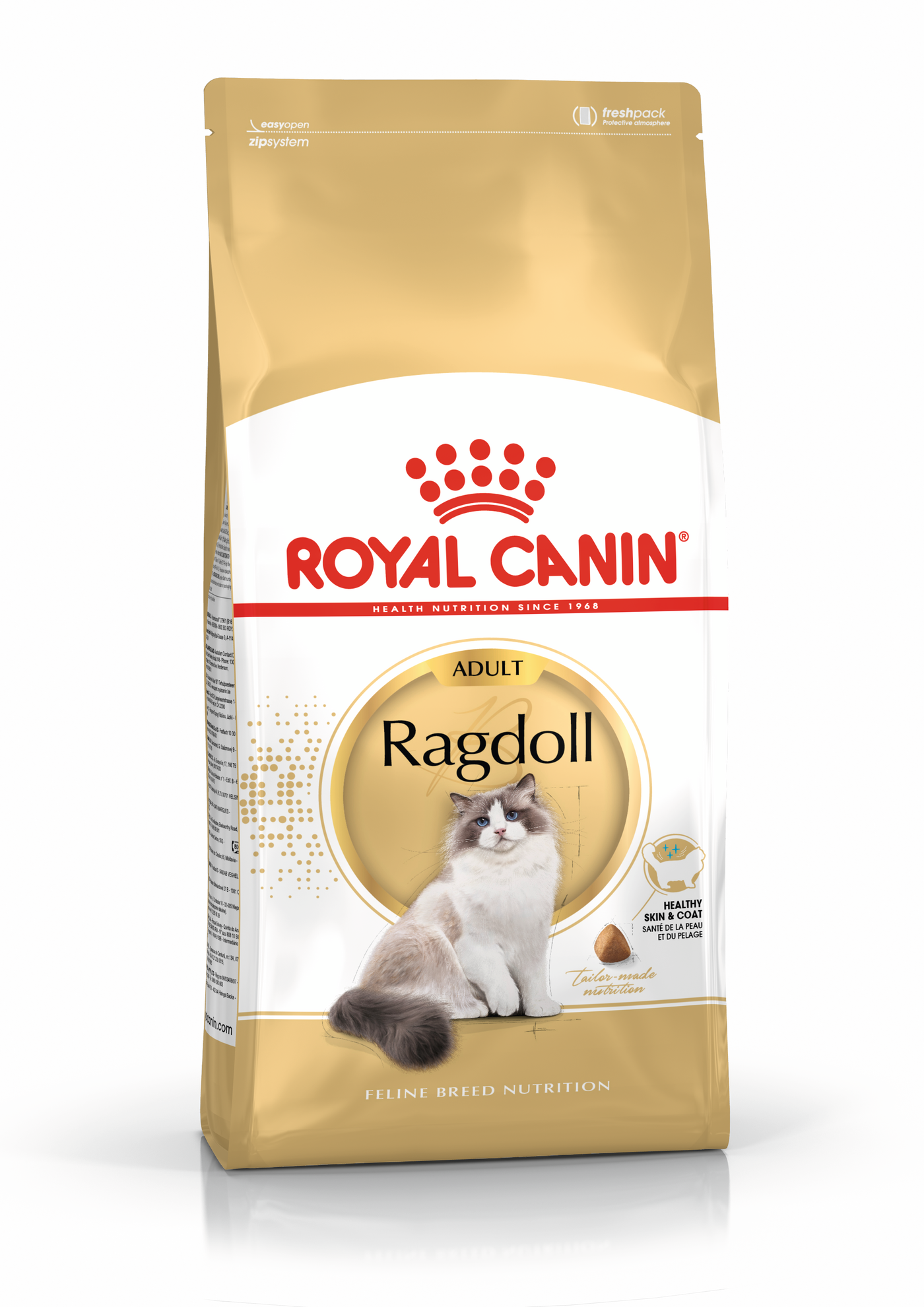 Ragdoll Adult