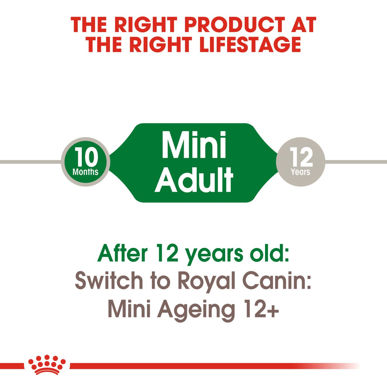 Mini Adult natvoer