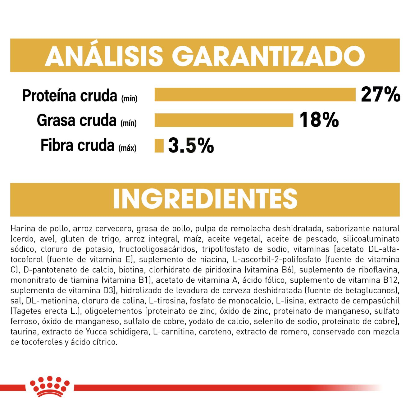 Yorkshire Terrier Cachorro