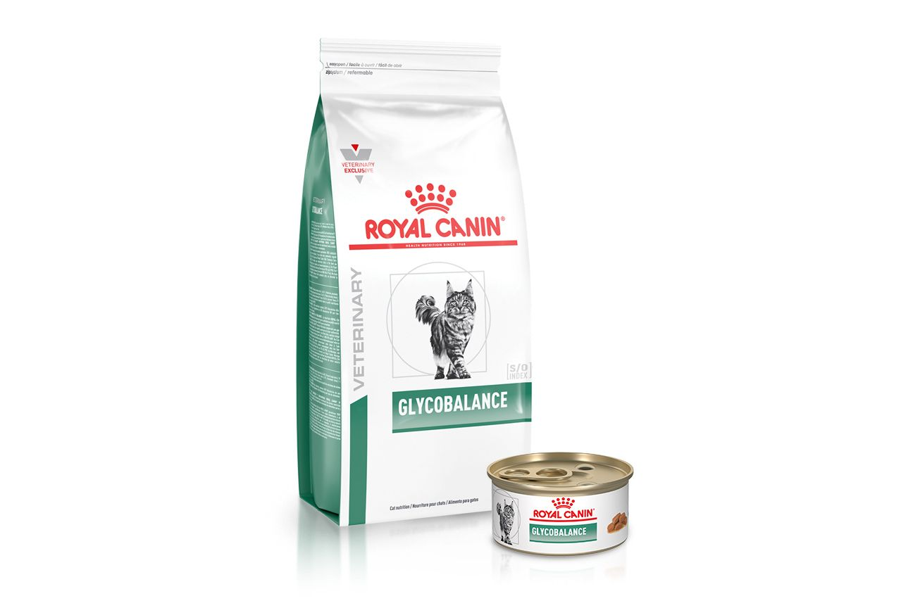 Royal canin shop cat food glycobalance