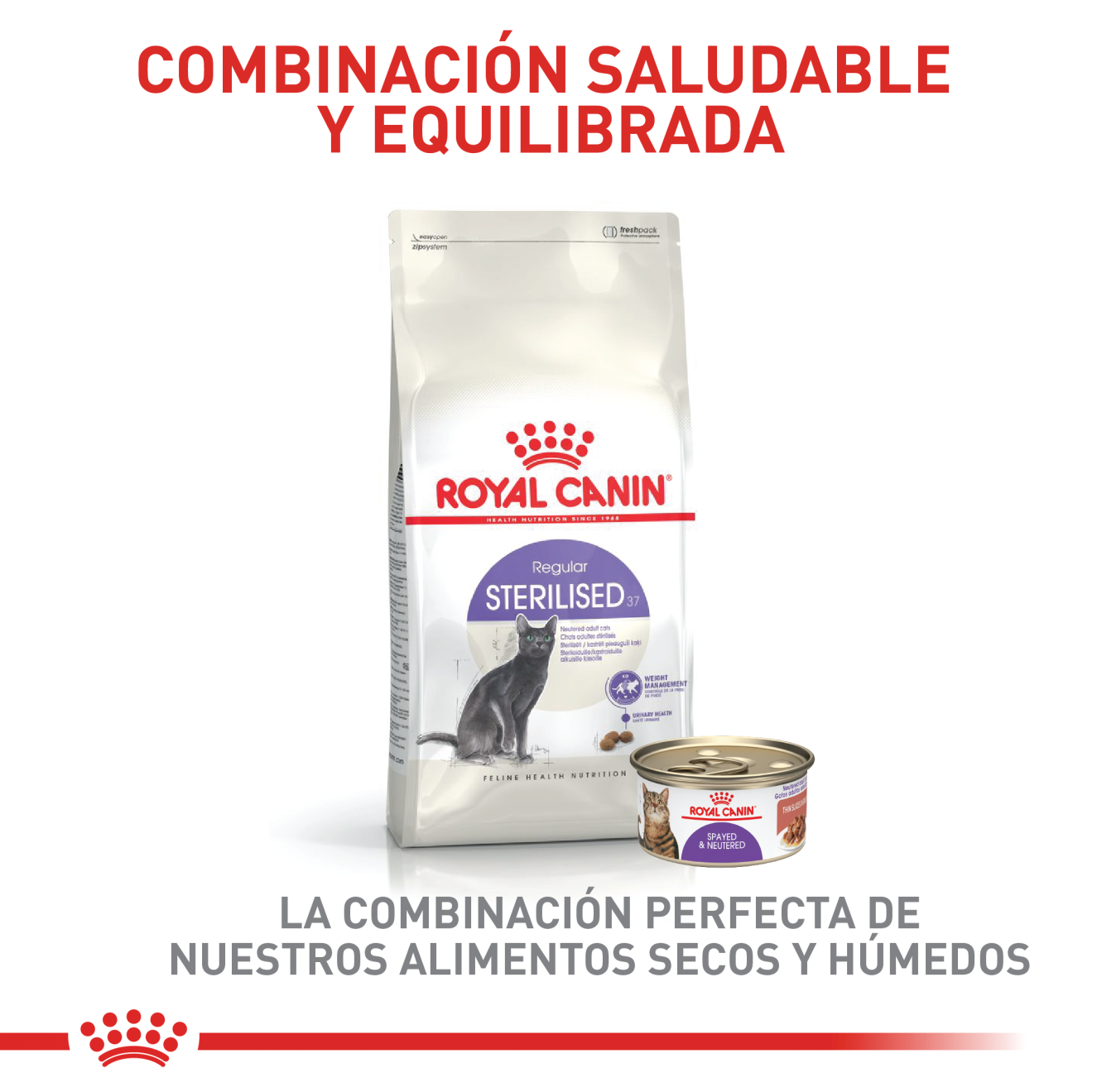Sterilised 37 | Royal Canin CO