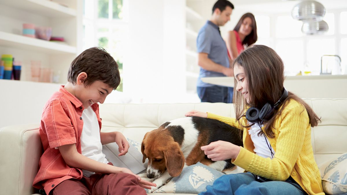 Die Kind-Tier-Bindung