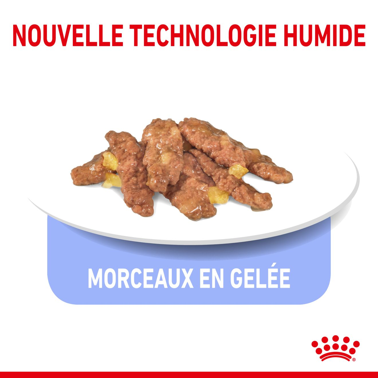 Indoor Sterilised Jelly (émincés en gelée)