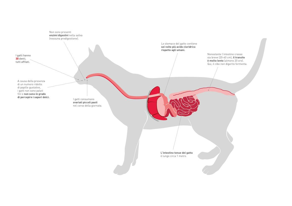 Content Block With Text And Image 4