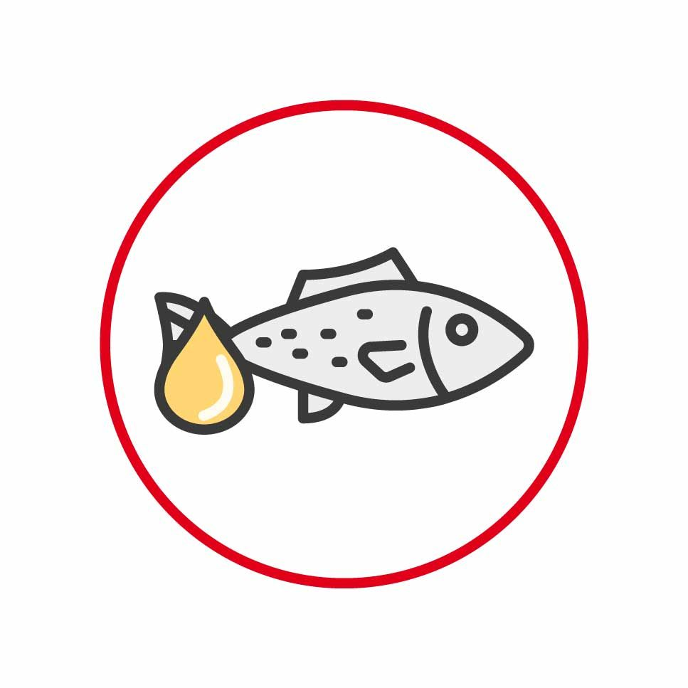 Omega-3 Fish Cartoon